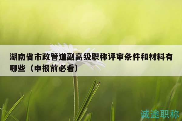 湖南省市政管道副高級職稱評審條件和材料有哪些（申報前必看）