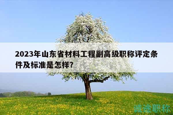 2023年山東省材料工程副高級職稱評定條件及標(biāo)準(zhǔn)是怎樣？
