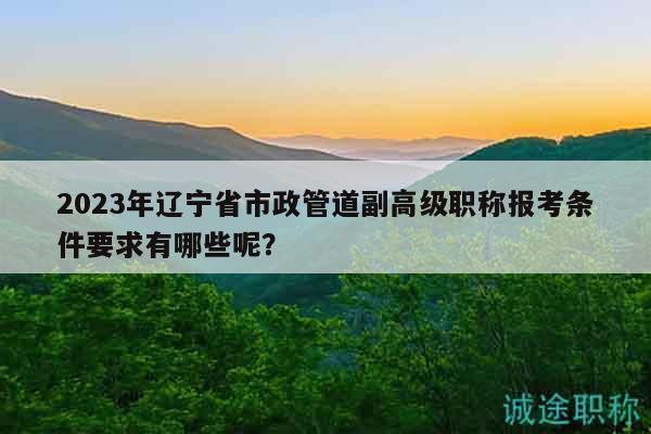 2023年遼寧省市政管道副高級職稱報考條件要求有哪些呢？