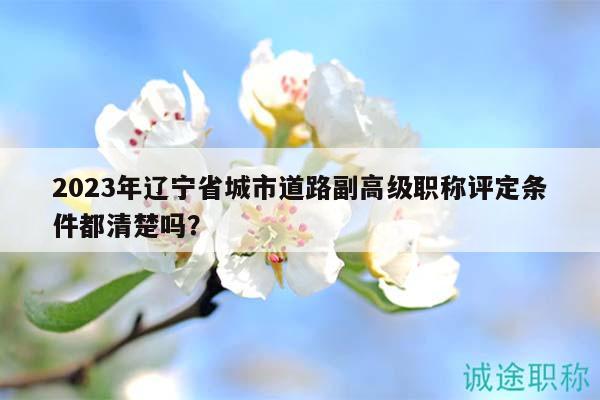 2023年遼寧省城市道路副高級職稱評定條件都清楚嗎？