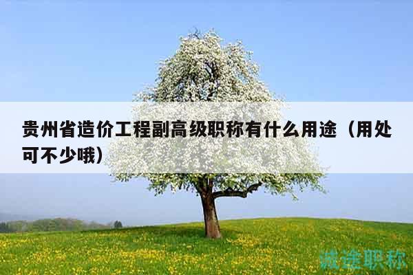 貴州省造價(jià)工程副高級(jí)職稱有什么用途（用處可不少哦）