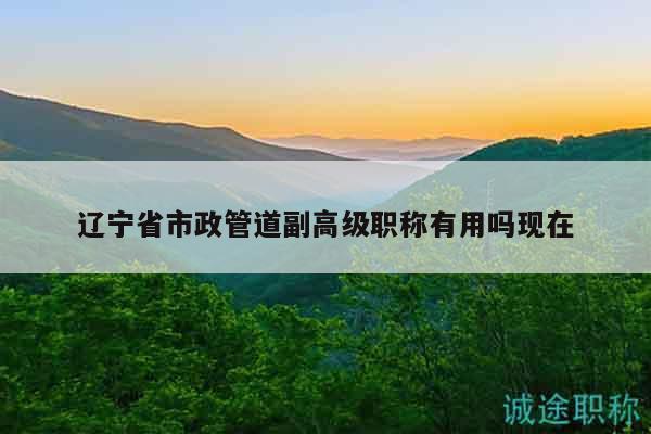 遼寧省市政管道副高級(jí)職稱(chēng)有用嗎現(xiàn)在