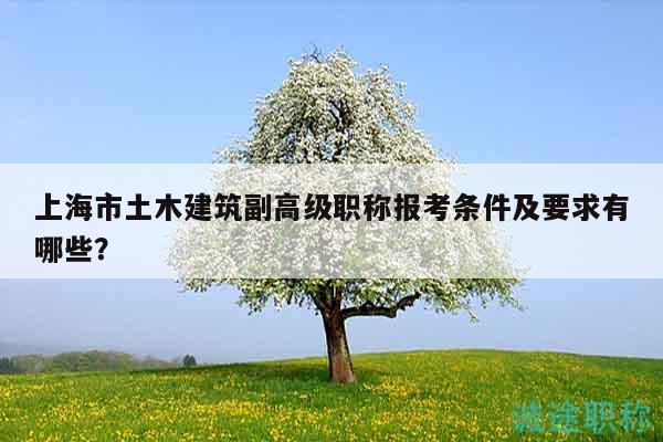 上海市土木建筑副高級職稱報(bào)考條件及要求有哪些？