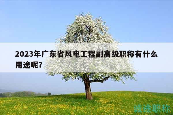 2023年廣東省風(fēng)電工程副高級(jí)職稱(chēng)有什么用途呢？