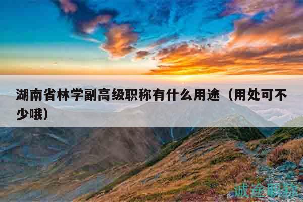 湖南省林學副高級職稱有什么用途（用處可不少哦）