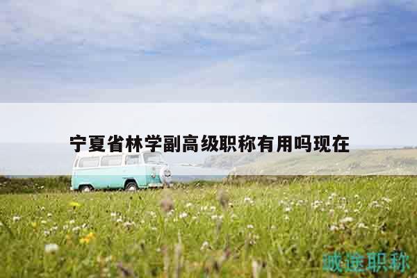寧夏省林學(xué)副高級職稱有用嗎現(xiàn)在