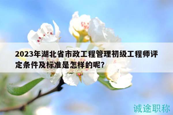 2023年湖北省市政工程管理初級工程師評定條件及標準是怎樣的呢？