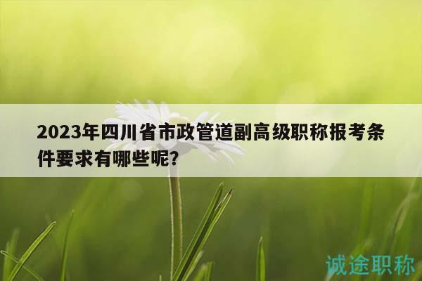 2023年四川省市政管道副高級(jí)職稱報(bào)考條件要求有哪些呢？