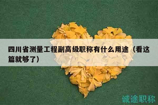 四川省測量工程副高級職稱有什么用途（看這篇就夠了）