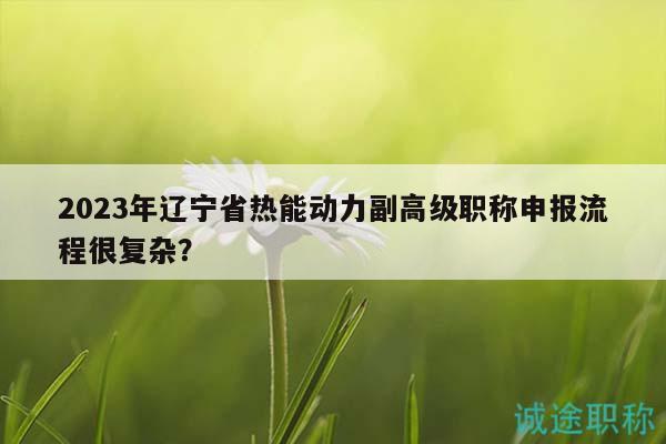 2023年遼寧省熱能動(dòng)力副高級(jí)職稱申報(bào)流程很復(fù)雜？