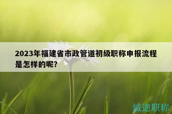 2023年福建省市政管道初級職稱申報(bào)流程是怎樣的呢？