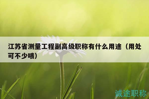 江蘇省測(cè)量工程副高級(jí)職稱(chēng)有什么用途（用處可不少哦）