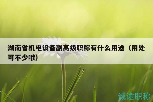 湖南省機(jī)電設(shè)備副高級(jí)職稱(chēng)有什么用途（用處可不少哦）