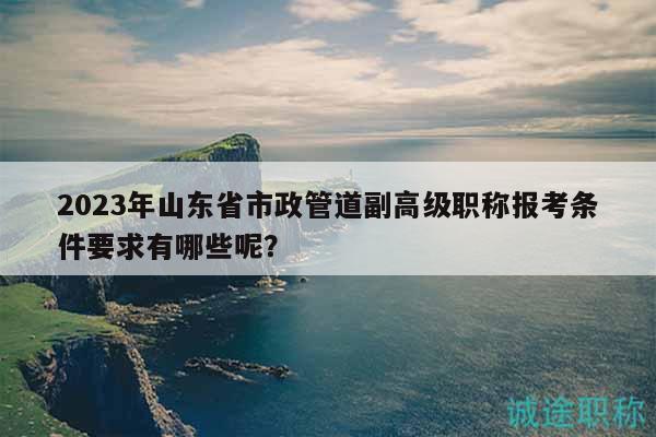 2023年山東省市政管道副高級職稱報考條件要求有哪些呢？