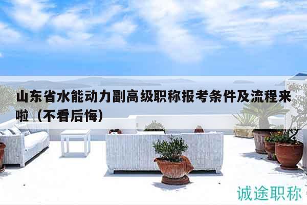 山東省水能動(dòng)力副高級(jí)職稱(chēng)報(bào)考條件及流程來(lái)啦（不看后悔）