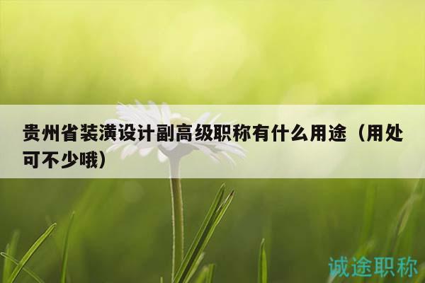 貴州省裝潢設(shè)計(jì)副高級(jí)職稱有什么用途（用處可不少哦）
