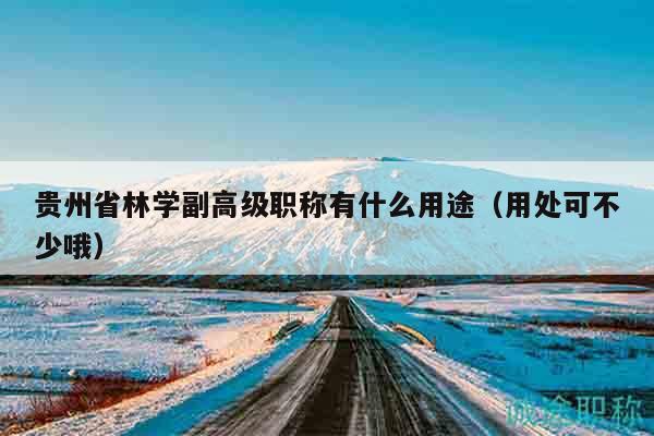貴州省林學(xué)副高級職稱有什么用途（用處可不少哦）
