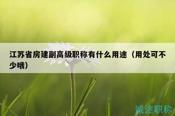 江蘇省房建副高級(jí)職稱有什么用途（用處可不少哦）