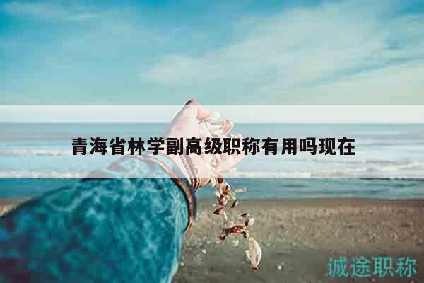 青海省林學(xué)副高級(jí)職稱有用嗎現(xiàn)在