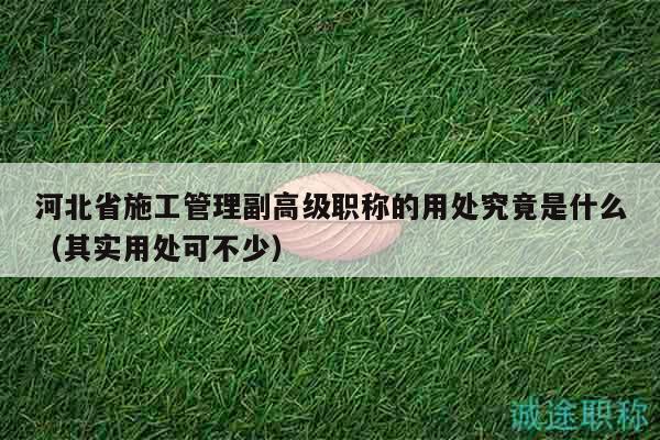 河北省施工管理副高級職稱的用處究竟是什么（其實(shí)用處可不少）