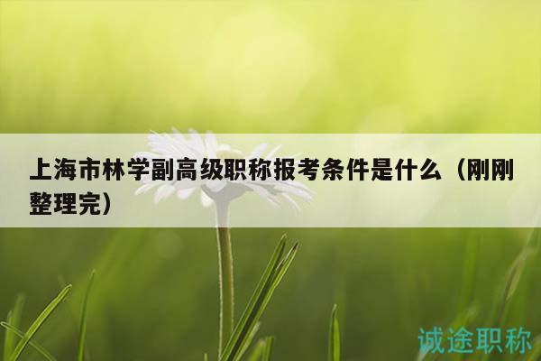 上海市林學(xué)副高級(jí)職稱報(bào)考條件是什么（剛剛整理完）