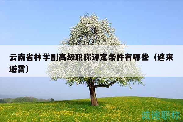云南省林學(xué)副高級職稱評定條件有哪些（速來避雷）