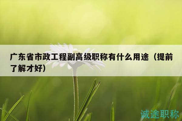 廣東省市政工程副高級職稱有什么用途（提前了解才好）