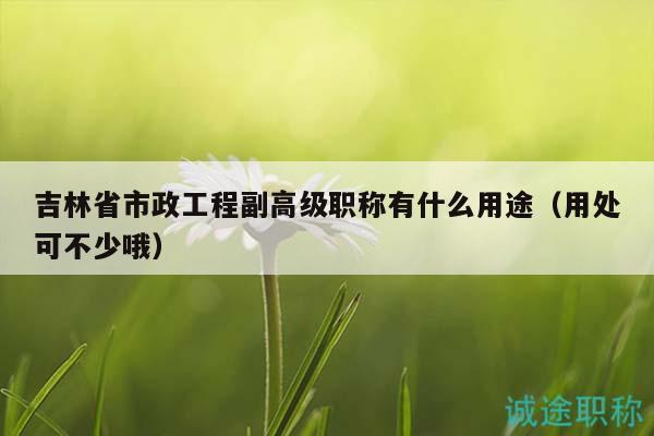 吉林省市政工程副高級(jí)職稱有什么用途（用處可不少哦）