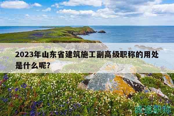 2023年山東省建筑施工副高級職稱的用處是什么呢？