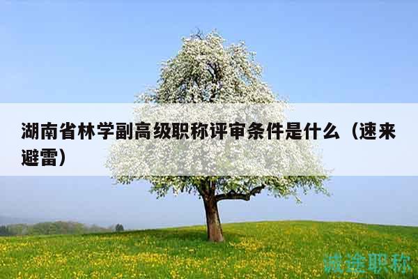 湖南省林學(xué)副高級(jí)職稱(chēng)評(píng)審條件是什么（速來(lái)避雷）
