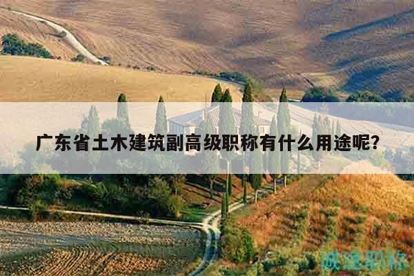 廣東省土木建筑副高級職稱有什么用途呢？