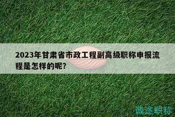 2023年甘肅省市政工程副高級職稱申報流程是怎樣的呢？