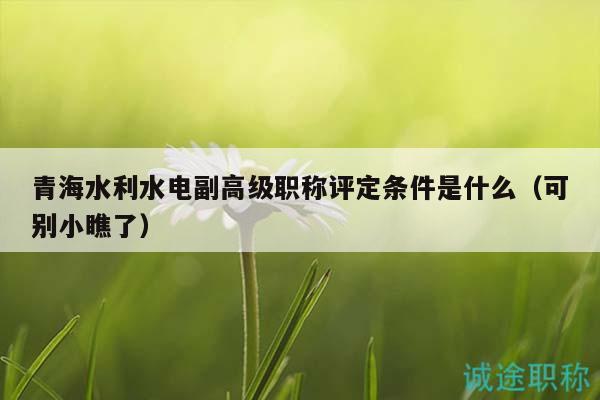 青海水利水電副高級(jí)職稱評(píng)定條件是什么（可別小瞧了）
