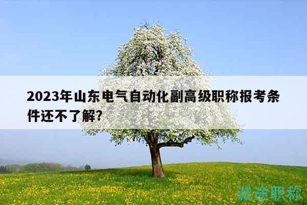 2023年山東電氣自動化副高級職稱報(bào)考條件還不了解？