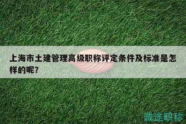 上海市土建管理高級職稱評定條件及標準是怎樣的呢？