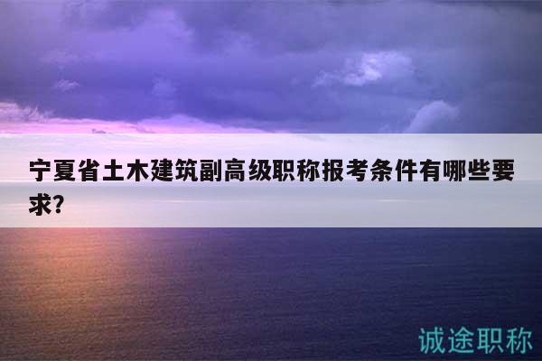 寧夏省土木建筑副高級職稱報考條件有哪些要求？