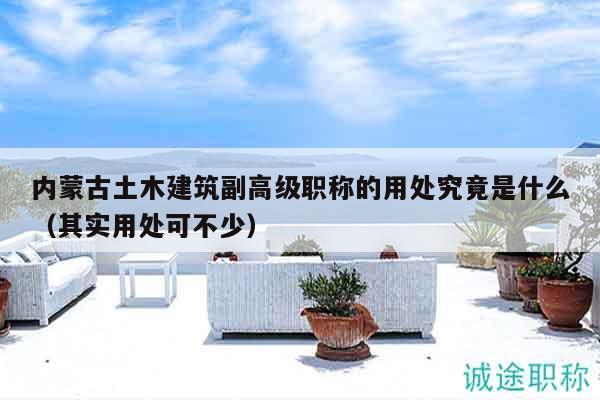 內(nèi)蒙古土木建筑副高級(jí)職稱(chēng)的用處究竟是什么（其實(shí)用處可不少）