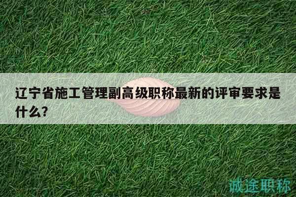 遼寧省施工管理副高級(jí)職稱最新的評(píng)審要求是什么？
