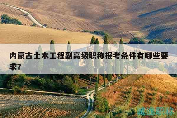 內(nèi)蒙古土木工程副高級職稱報(bào)考條件有哪些要求？