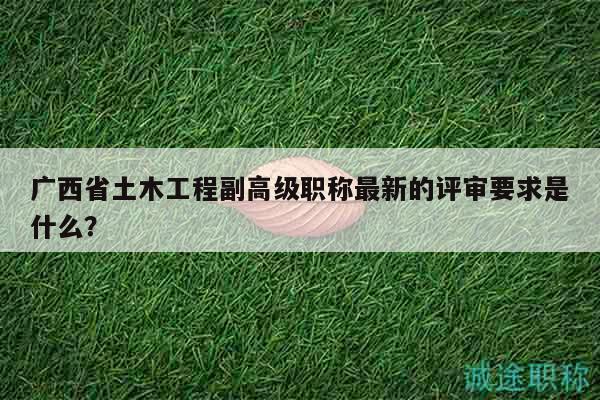 廣西省土木工程副高級職稱最新的評審要求是什么？