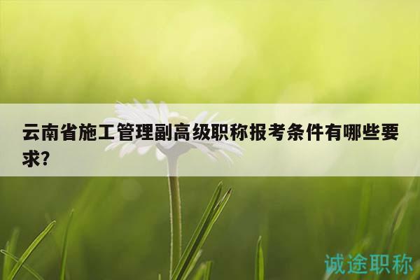 云南省施工管理副高級職稱報考條件有哪些要求？