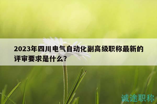 2023年四川電氣自動(dòng)化副高級(jí)職稱(chēng)最新的評(píng)審要求是什么？