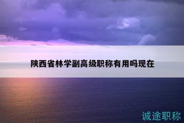 陜西省林學副高級職稱有用嗎現(xiàn)在