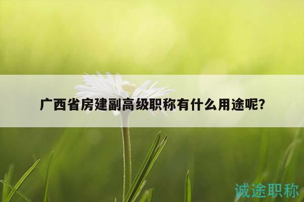 廣西省房建副高級職稱有什么用途呢？