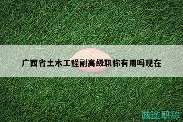 廣西省土木工程副高級職稱有用嗎現在
