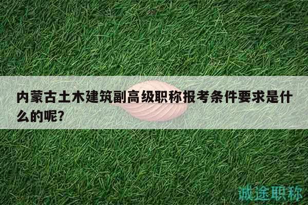 內蒙古土木建筑副高級職稱報考條件要求是什么的呢？