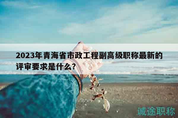 2023年青海省市政工程副高級(jí)職稱(chēng)最新的評(píng)審要求是什么？