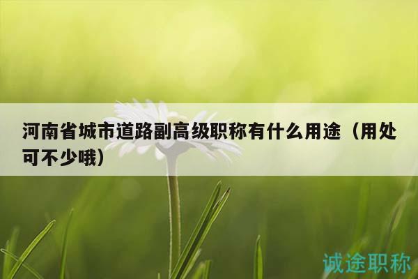 河南省城市道路副高級(jí)職稱有什么用途（用處可不少哦）