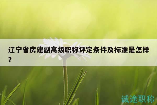 遼寧省房建副高級職稱評定條件及標準是怎樣？