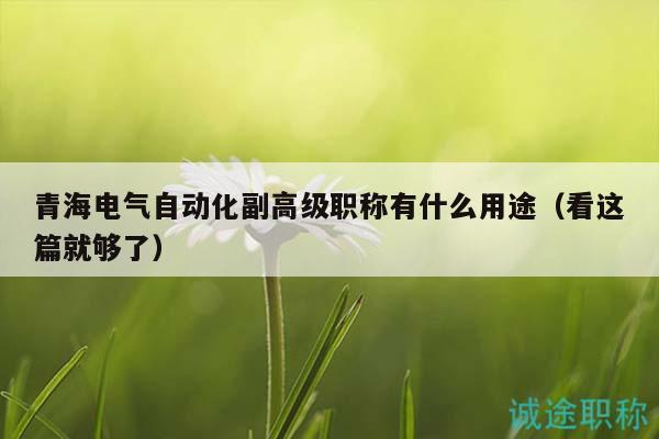 青海電氣自動化副高級職稱有什么用途（看這篇就夠了）